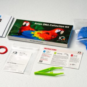 DNA Testing Kit Box